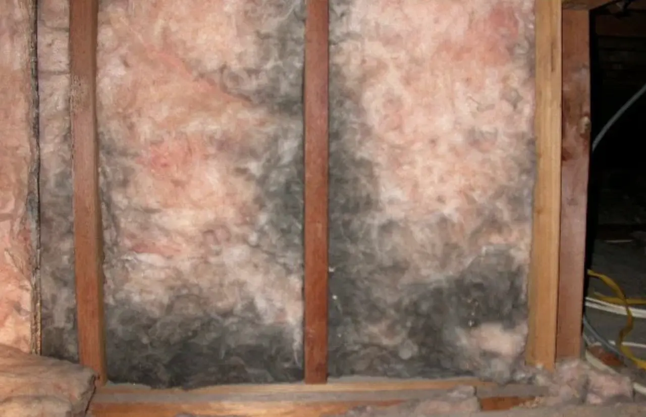 What Happens When Insulation Gets Wet (and Dries Out)?