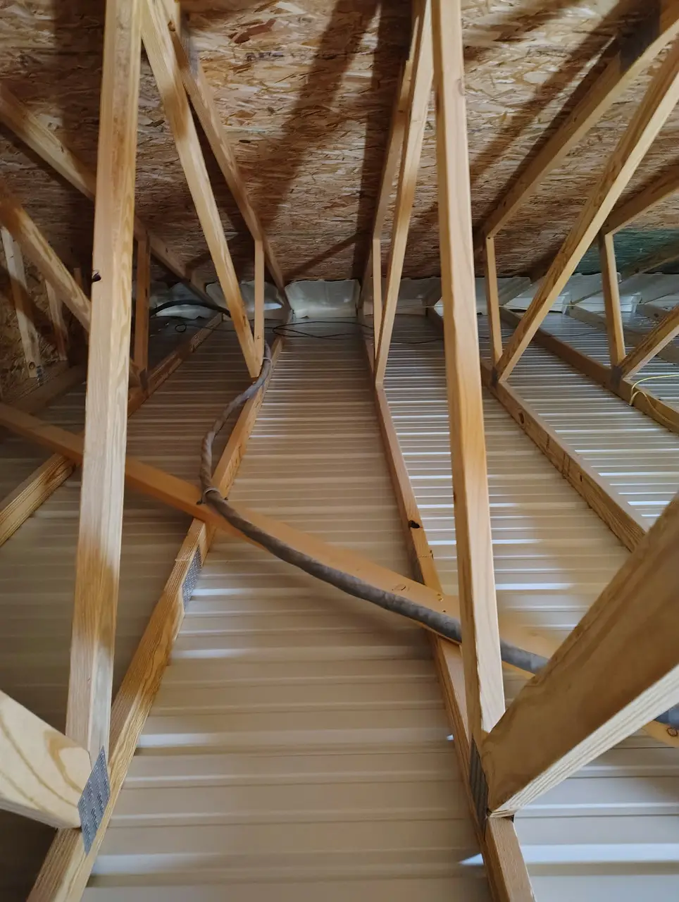 7 Signs It’s Time for Insulation Removal in Your Home