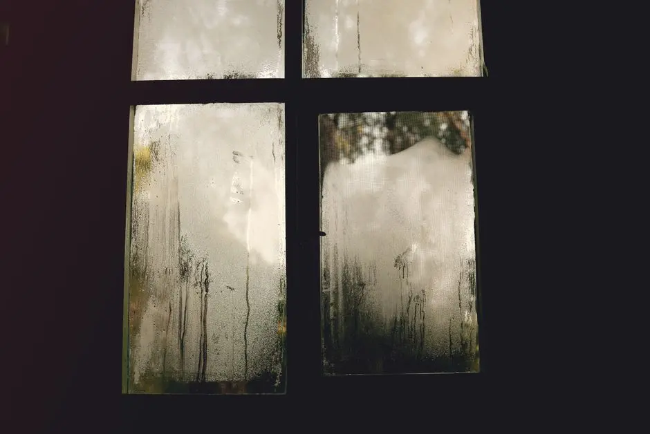 Why Is There Condensation in My Home or Building When Nothing Is Leaking?