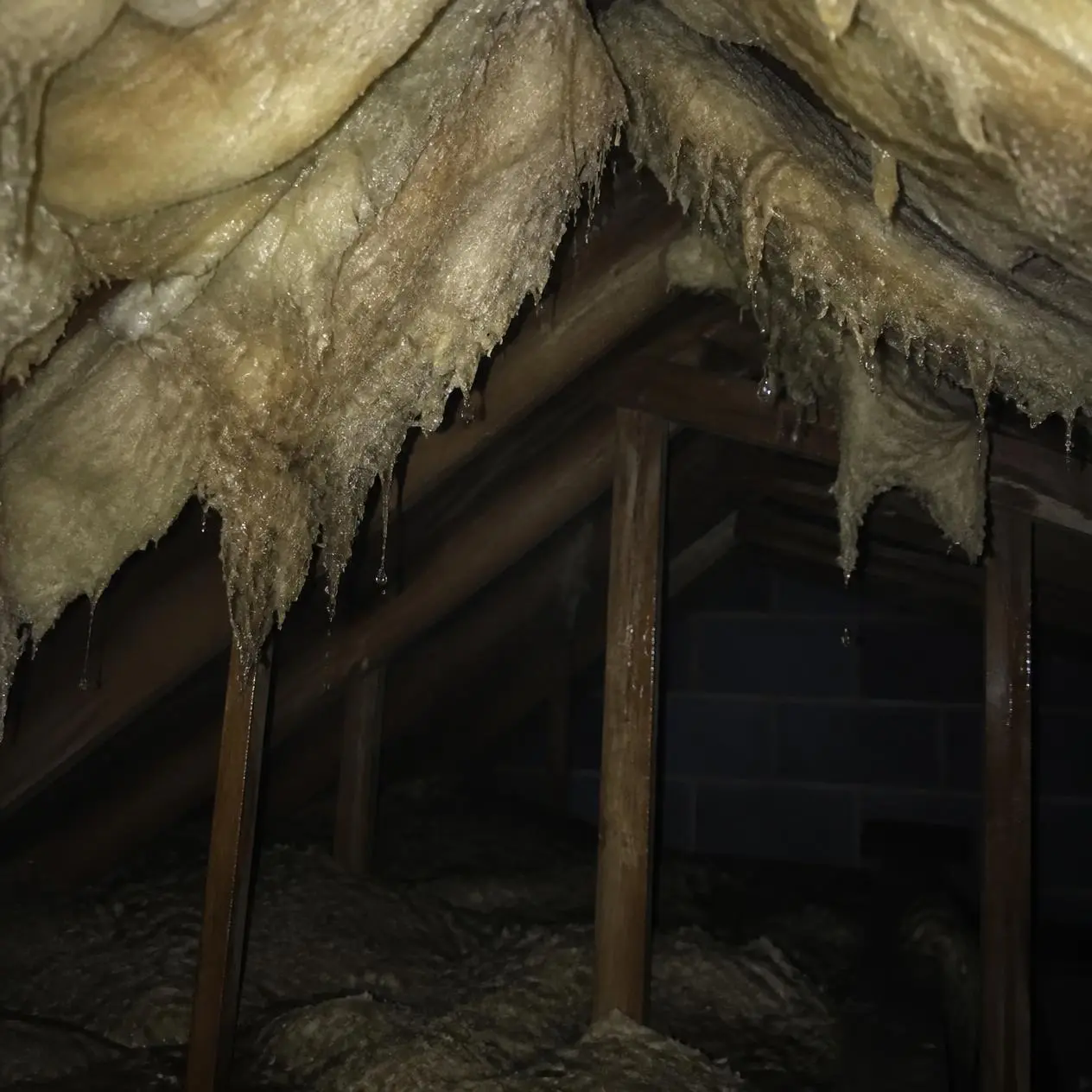 Heavy Rain in Indiana: When Wet Insulation Needs to Be Removed